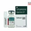 Cefoperazone Injection IP 1g (Cefocot-1000) by Scotmed Care - Critical Care Antibiotic Injection