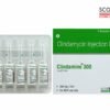 Clindamycin Injection IP 300 mg 2 ml Clindamine 300 by Scotmed Care WHO GMP Certified Critical Care Injection