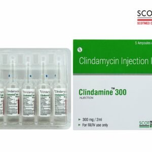 Clindamycin Injection IP 300 mg 2 ml Clindamine 300 by Scotmed Care WHO GMP Certified Critical Care Injection